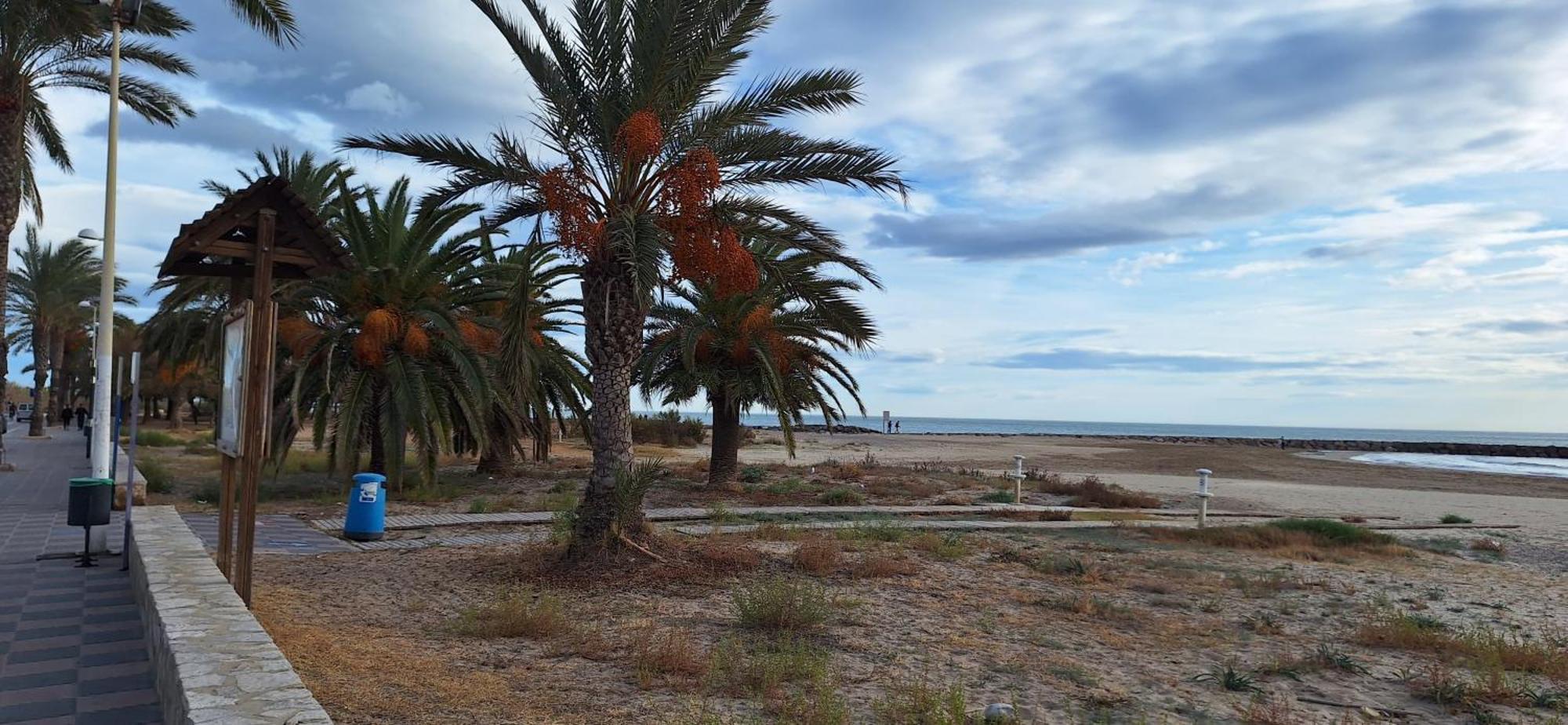 Vacaciones En El Mar Leilighet Sagunto Eksteriør bilde